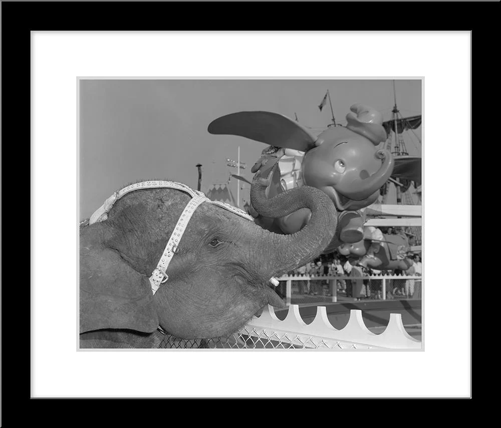 "Elephant & Dumbo" from Disney Photo Archives - Image 5