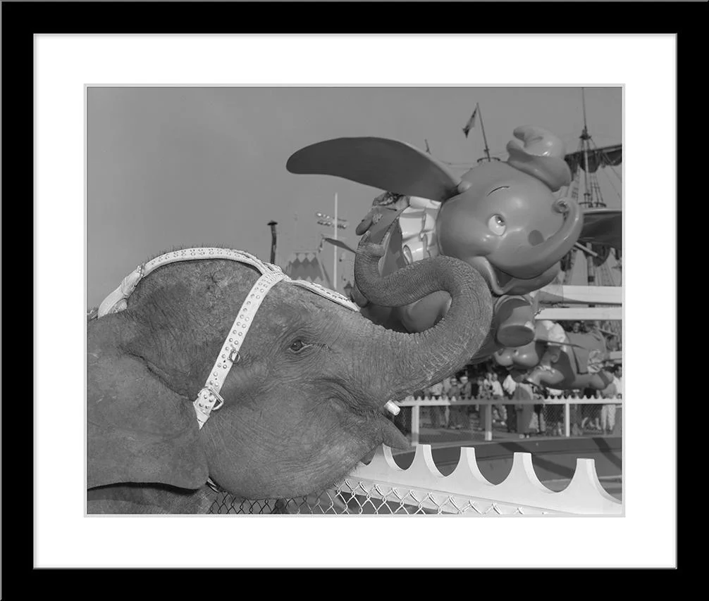 "Elephant & Dumbo" from Disney Photo Archives - Image 6