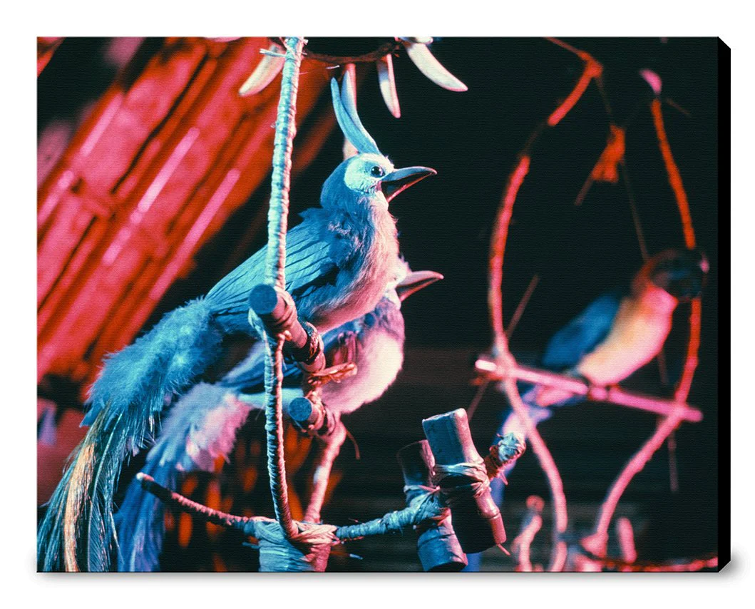 "Walt Disney's Enchanted Tiki Room Birds" from Disney Photo Archives - Image 11