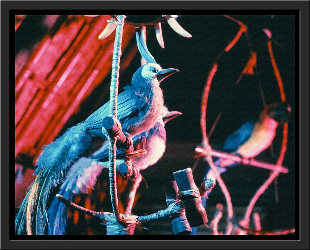 "Walt Disney's Enchanted Tiki Room Birds" from Disney Photo Archives - Image 12