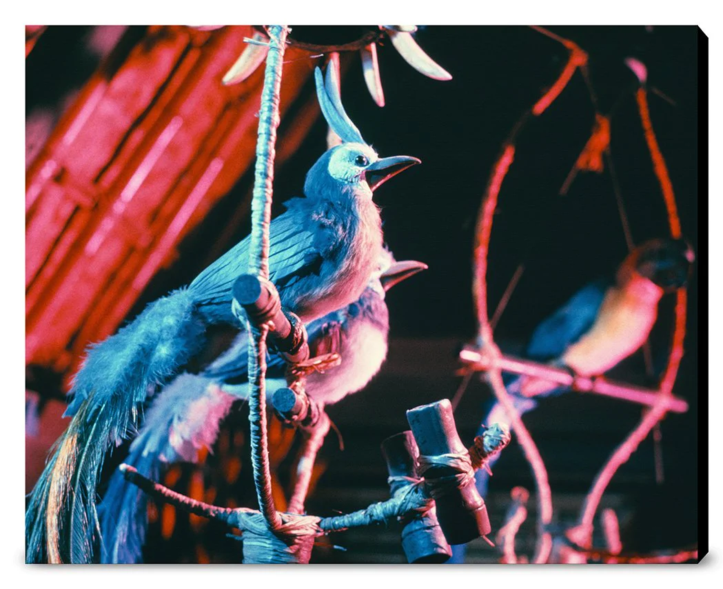 "Walt Disney's Enchanted Tiki Room Birds" from Disney Photo Archives - Image 15