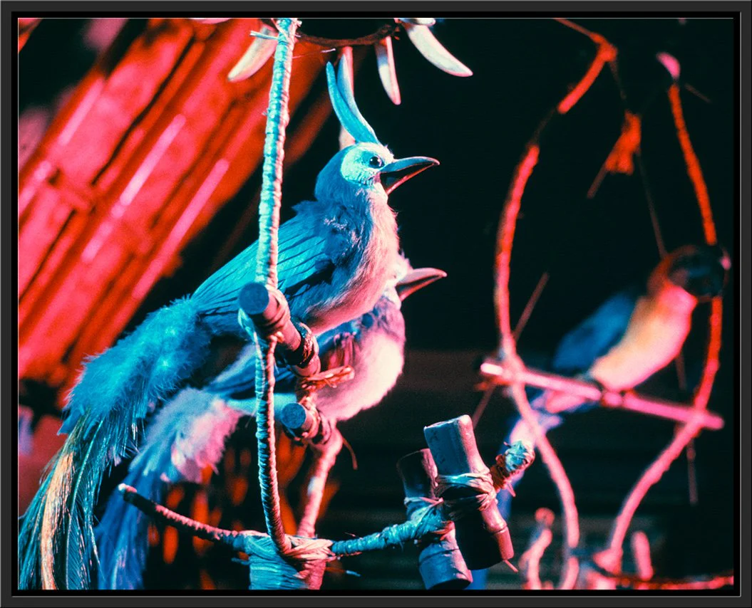 "Walt Disney's Enchanted Tiki Room Birds" from Disney Photo Archives - Image 16