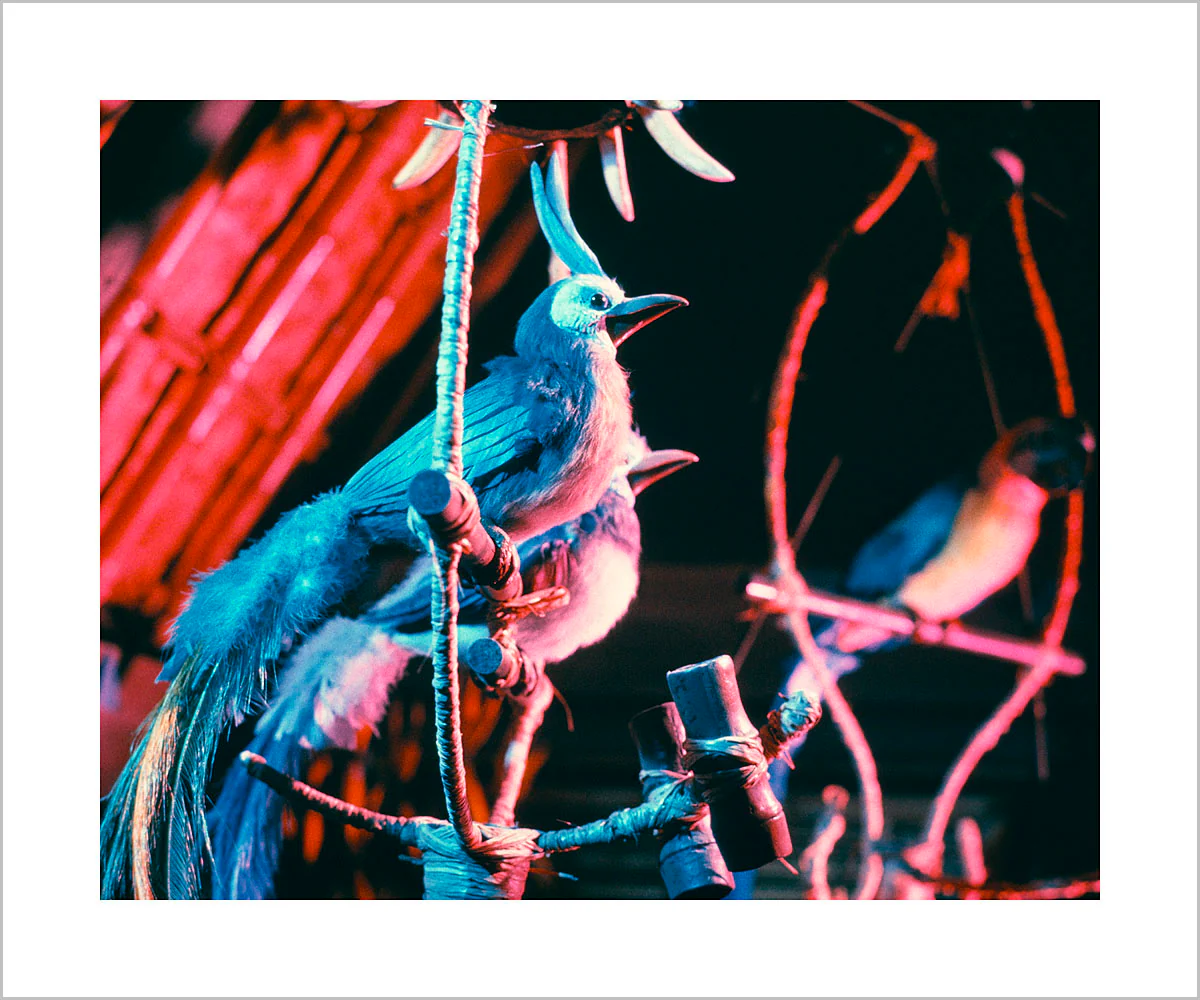 "Walt Disney's Enchanted Tiki Room Birds" from Disney Photo Archives - Image 2