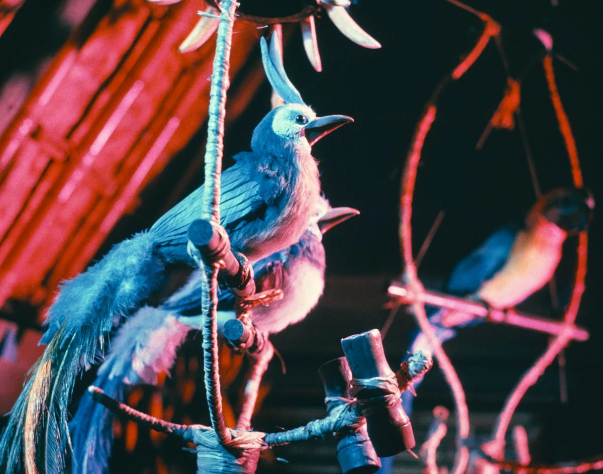 "Walt Disney's Enchanted Tiki Room Birds" from Disney Photo Archives - Image 4