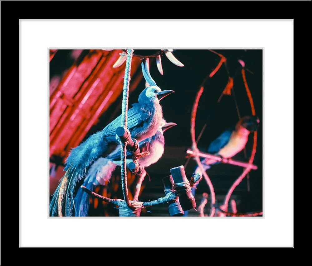 "Walt Disney's Enchanted Tiki Room Birds" from Disney Photo Archives - Image 5