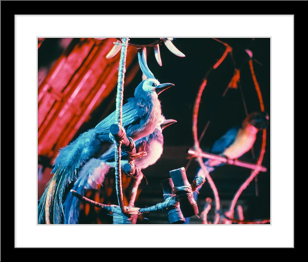 "Walt Disney's Enchanted Tiki Room Birds" from Disney Photo Archives - Image 6