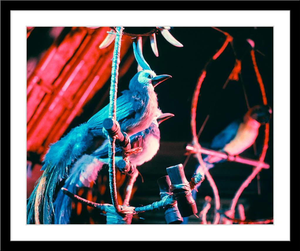 "Walt Disney's Enchanted Tiki Room Birds" from Disney Photo Archives - Image 7
