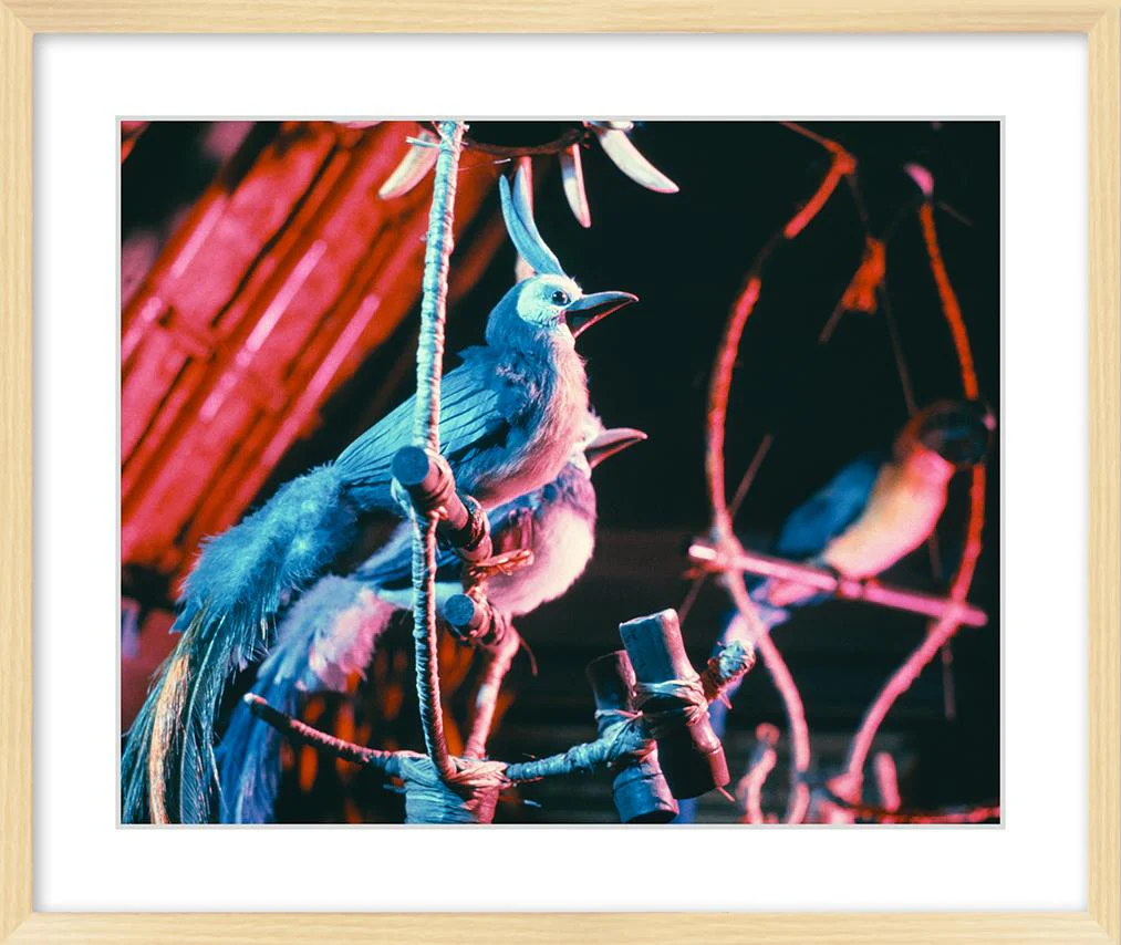 "Walt Disney's Enchanted Tiki Room Birds" from Disney Photo Archives - Image 9