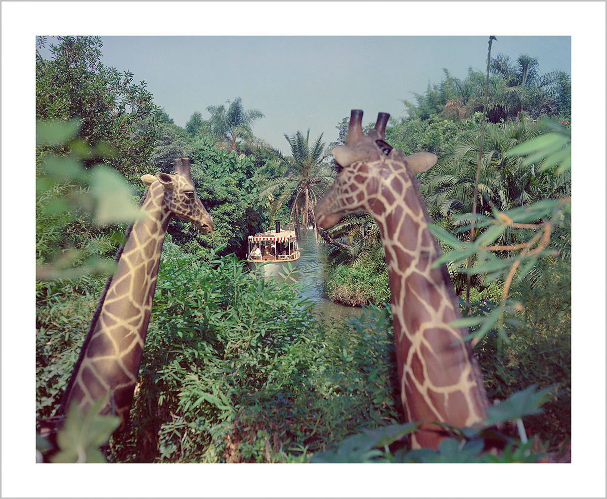"Giraffes in the Jungle Cruise" from Disney Photo Archives