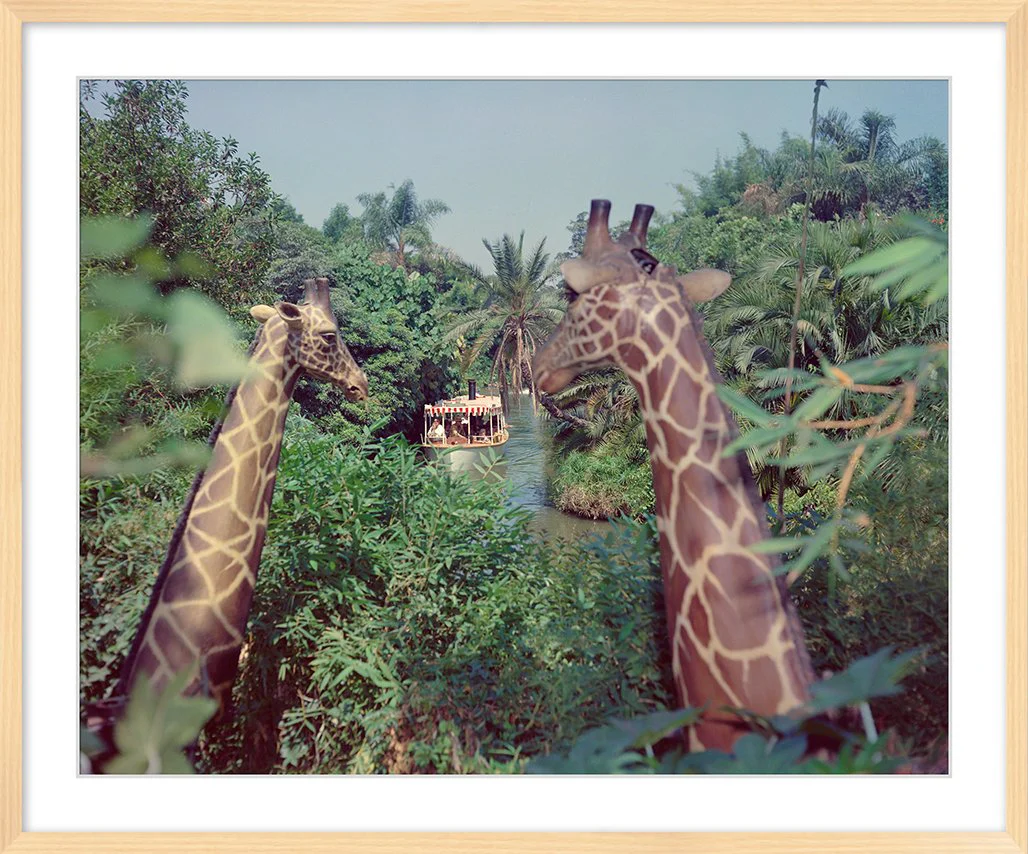 "Giraffes in the Jungle Cruise" from Disney Photo Archives - Image 10