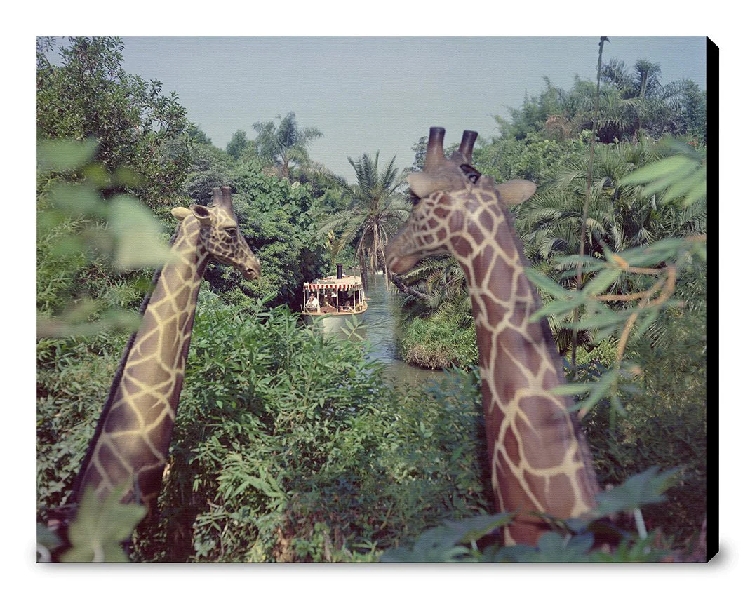 "Giraffes in the Jungle Cruise" from Disney Photo Archives - Image 11