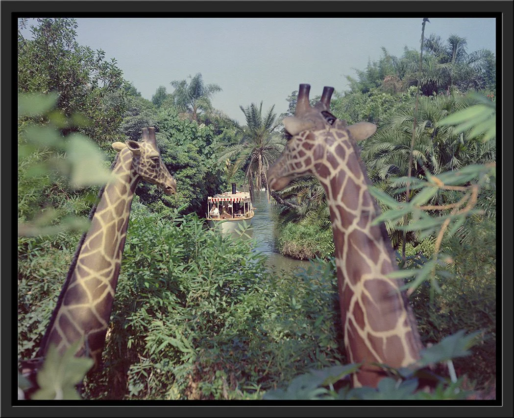 "Giraffes in the Jungle Cruise" from Disney Photo Archives - Image 14