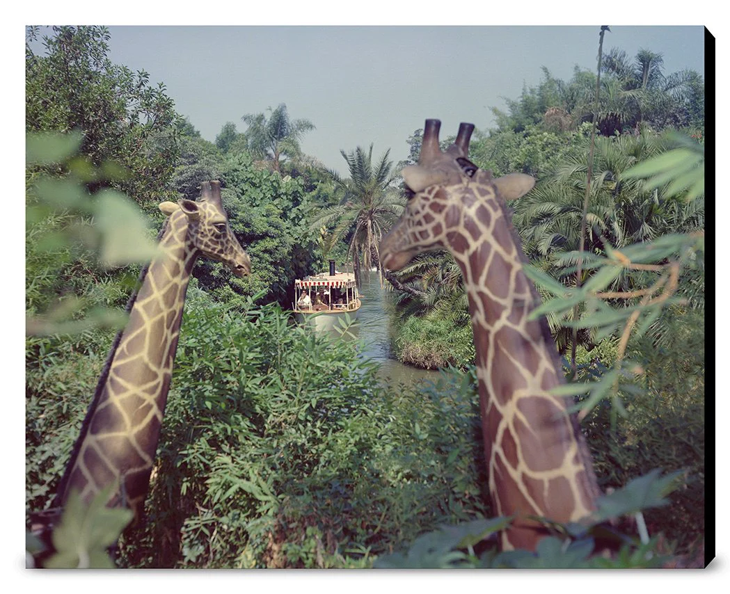 "Giraffes in the Jungle Cruise" from Disney Photo Archives - Image 15