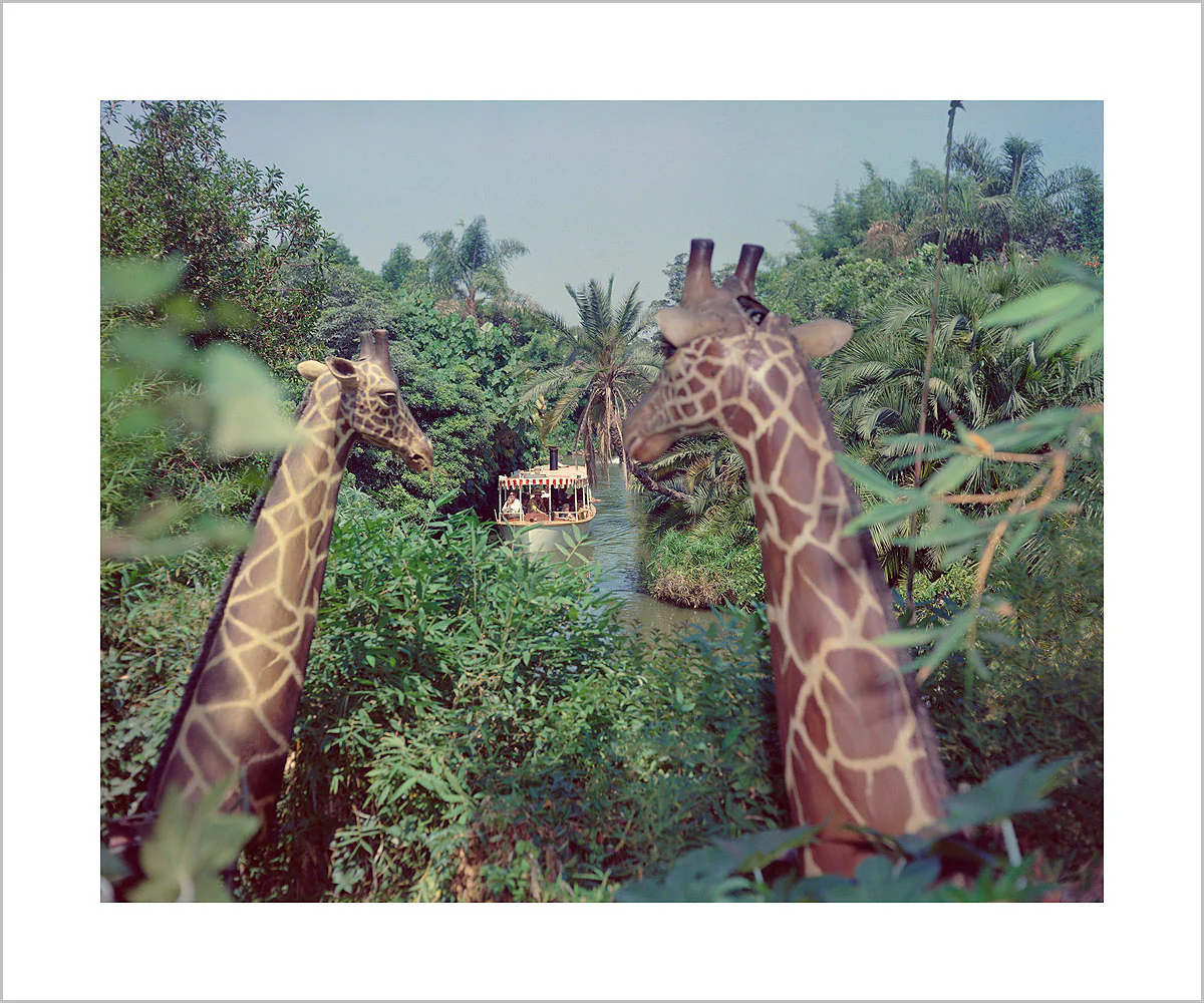 "Giraffes in the Jungle Cruise" from Disney Photo Archives - Image 2