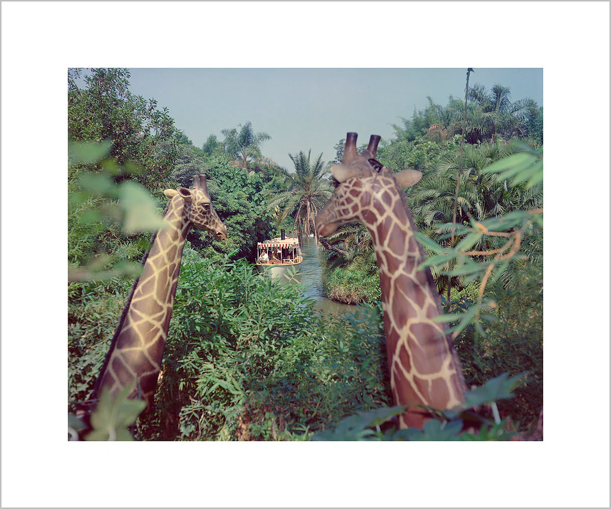 "Giraffes in the Jungle Cruise" from Disney Photo Archives - Image 3