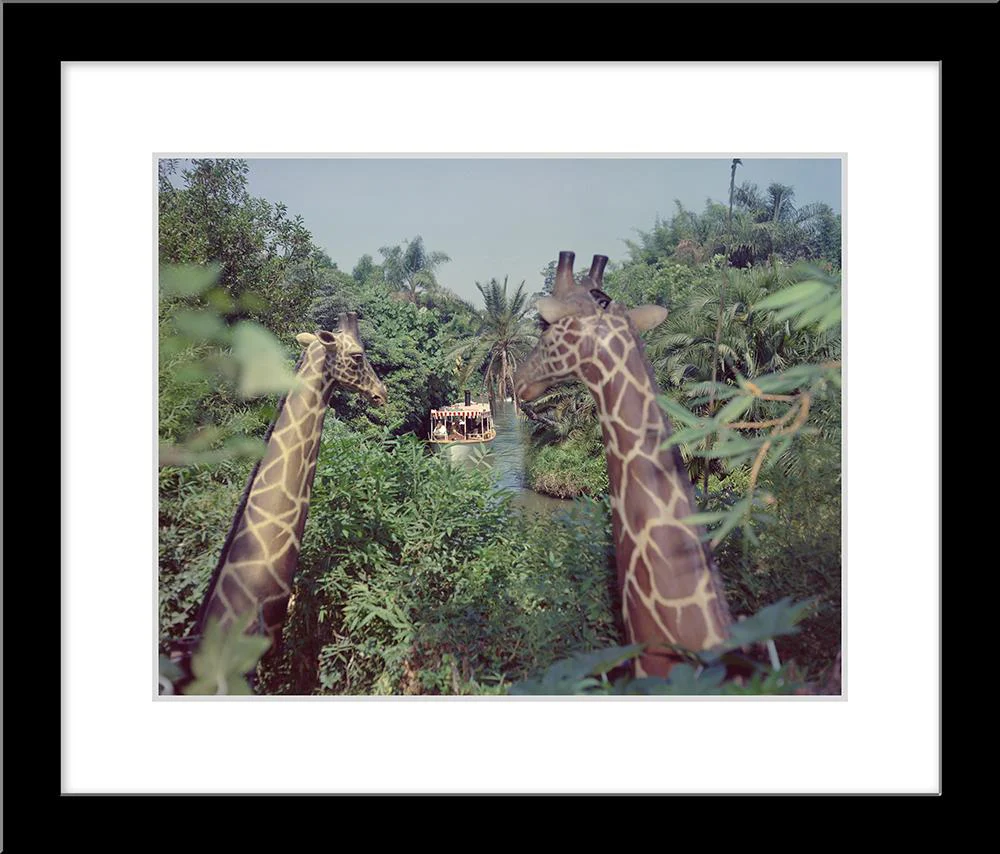 "Giraffes in the Jungle Cruise" from Disney Photo Archives - Image 5