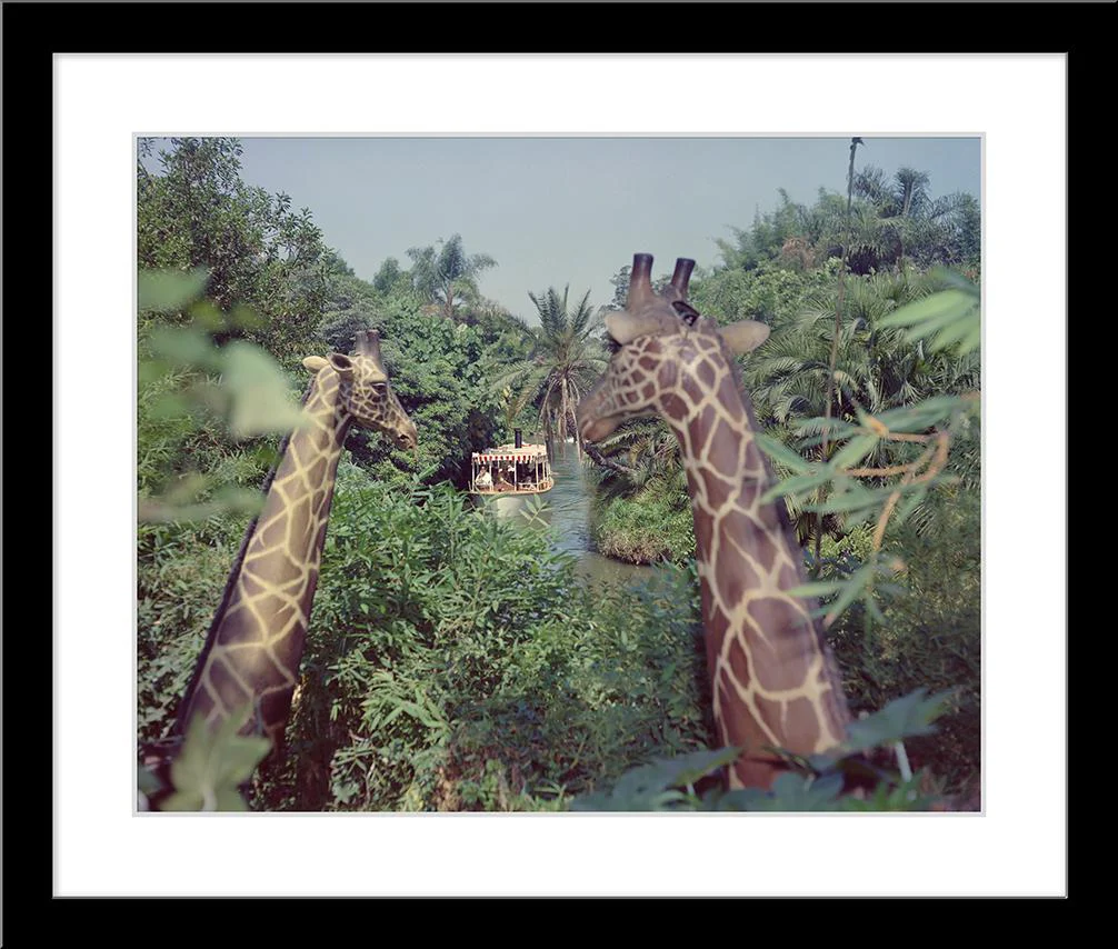 "Giraffes in the Jungle Cruise" from Disney Photo Archives - Image 6