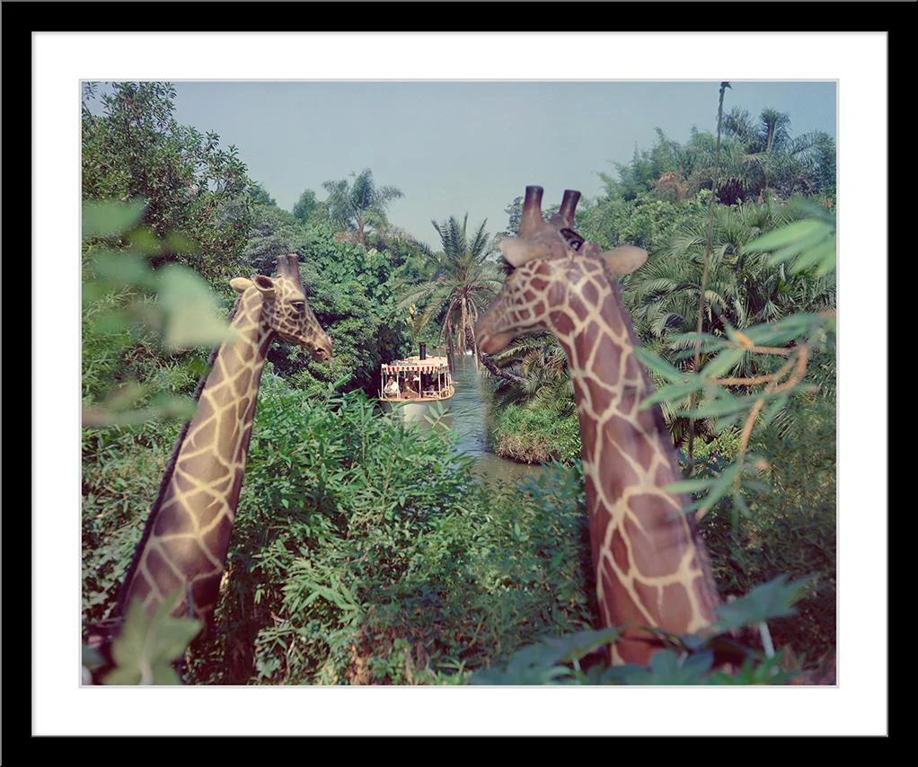"Giraffes in the Jungle Cruise" from Disney Photo Archives - Image 7