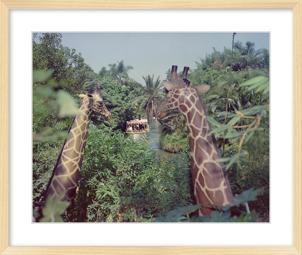 "Giraffes in the Jungle Cruise" from Disney Photo Archives - Image 9