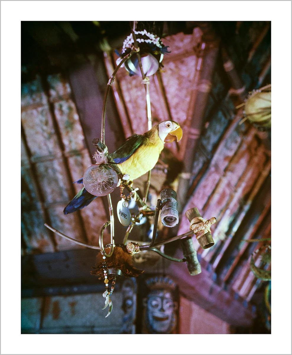 "José in Walt Disney's Enchanted Tiki Room" from Disney Photo Archives