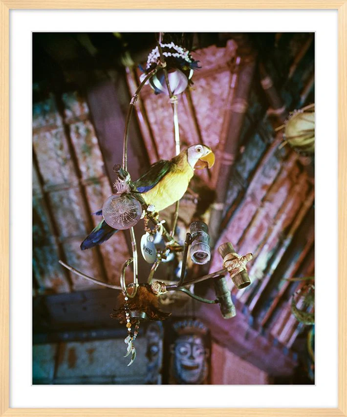 "José in Walt Disney's Enchanted Tiki Room" from Disney Photo Archives - Image 10