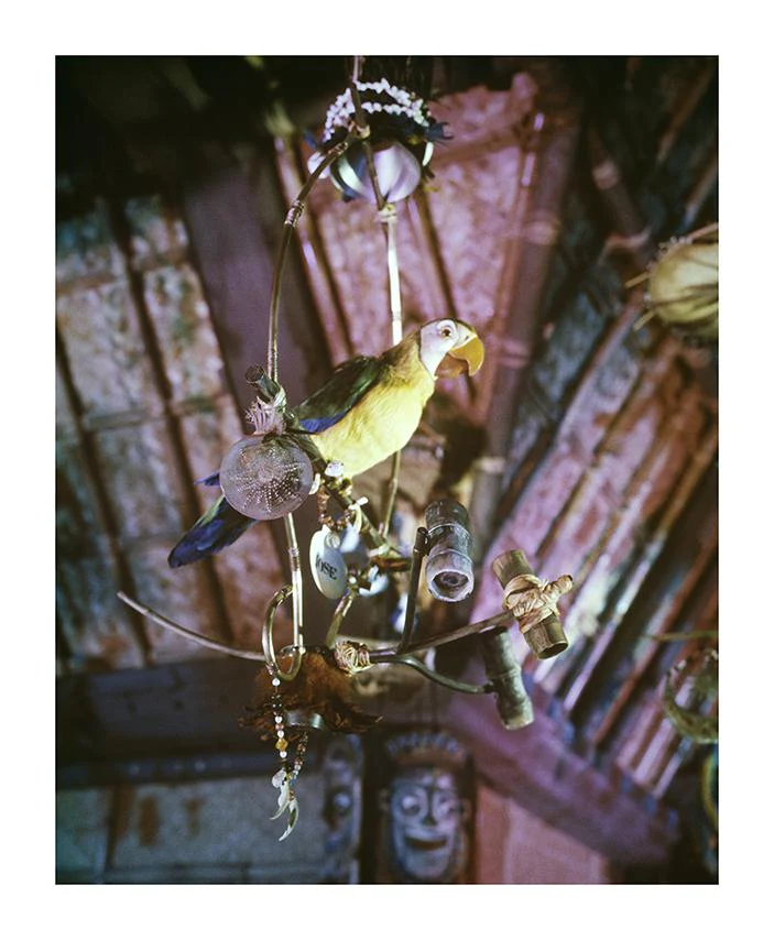 "José in Walt Disney's Enchanted Tiki Room" from Disney Photo Archives - Image 11