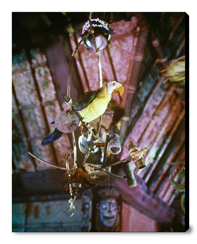"José in Walt Disney's Enchanted Tiki Room" from Disney Photo Archives - Image 12