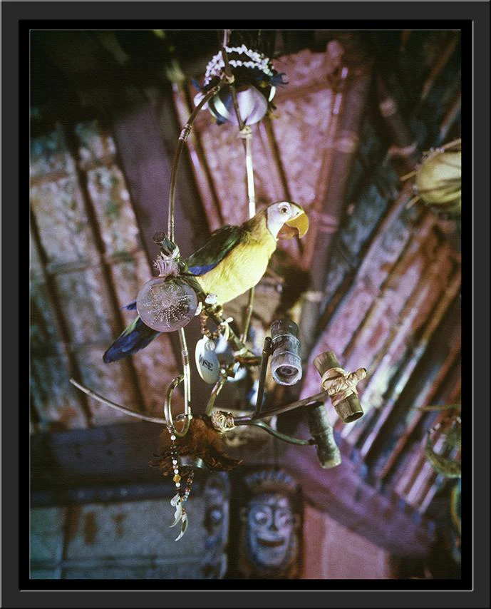 "José in Walt Disney's Enchanted Tiki Room" from Disney Photo Archives - Image 13