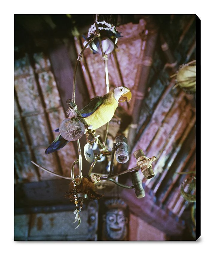 "José in Walt Disney's Enchanted Tiki Room" from Disney Photo Archives - Image 14