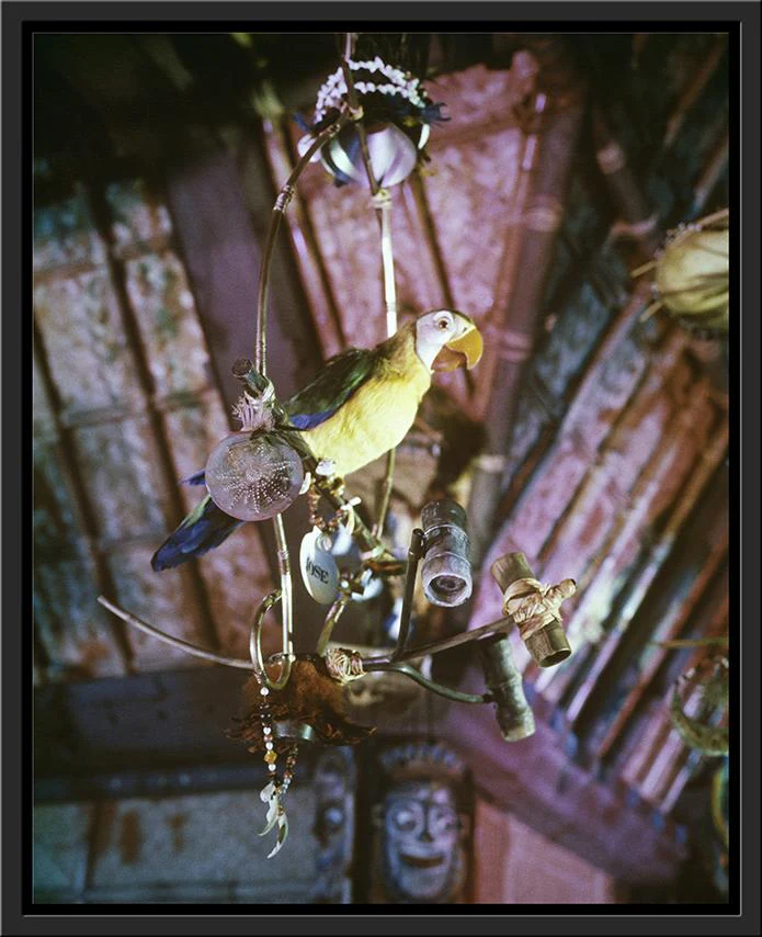 "José in Walt Disney's Enchanted Tiki Room" from Disney Photo Archives - Image 15