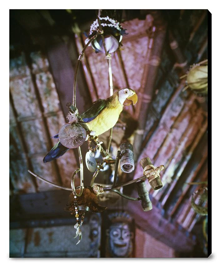 "José in Walt Disney's Enchanted Tiki Room" from Disney Photo Archives - Image 16