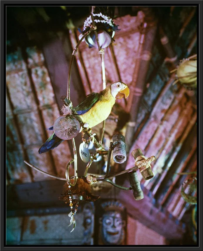 "José in Walt Disney's Enchanted Tiki Room" from Disney Photo Archives - Image 17