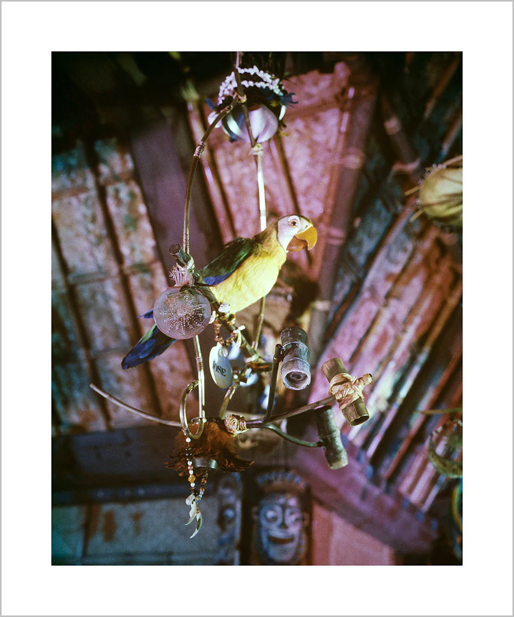 "José in Walt Disney's Enchanted Tiki Room" from Disney Photo Archives - Image 2