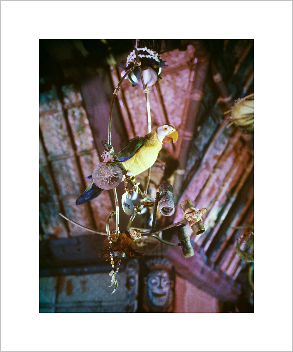 "José in Walt Disney's Enchanted Tiki Room" from Disney Photo Archives - Image 3