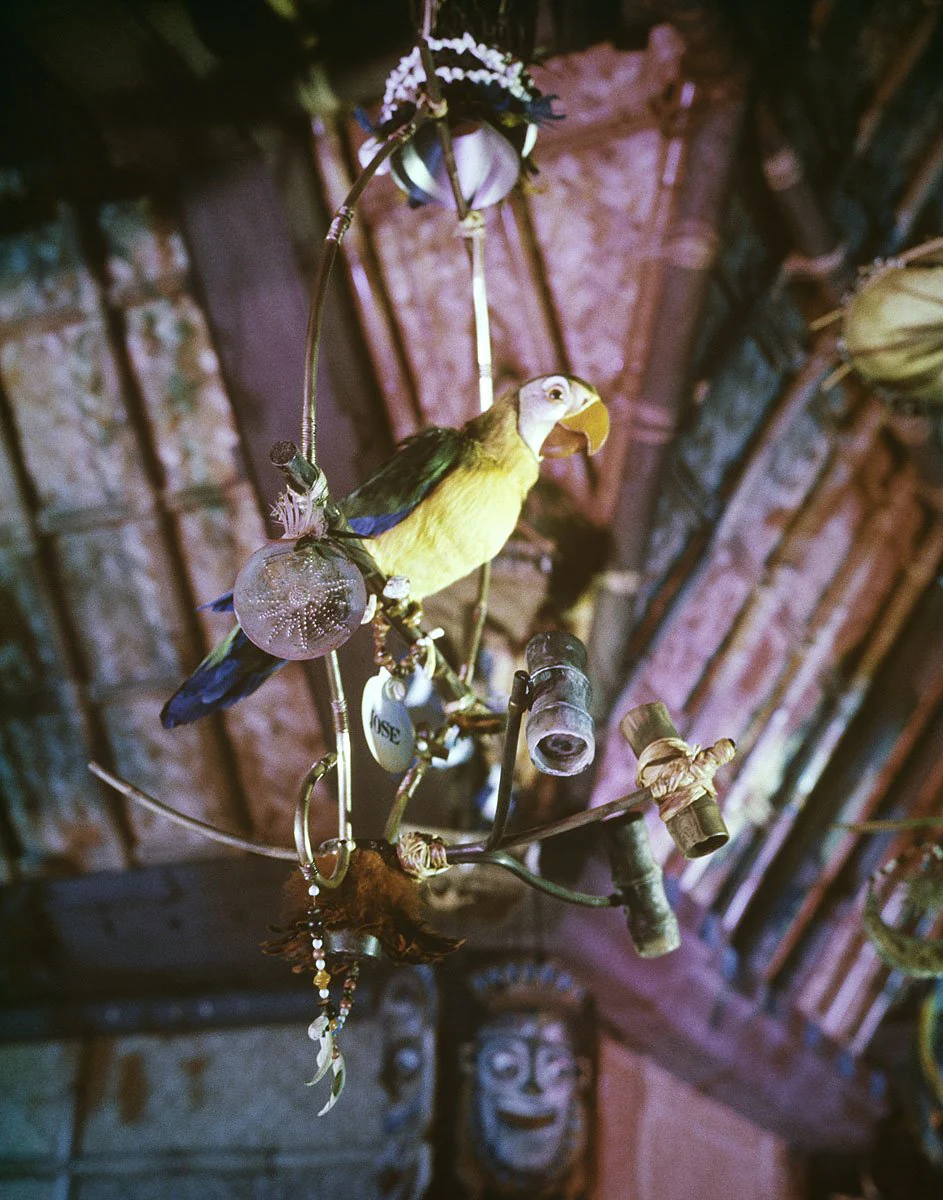 "José in Walt Disney's Enchanted Tiki Room" from Disney Photo Archives - Image 4