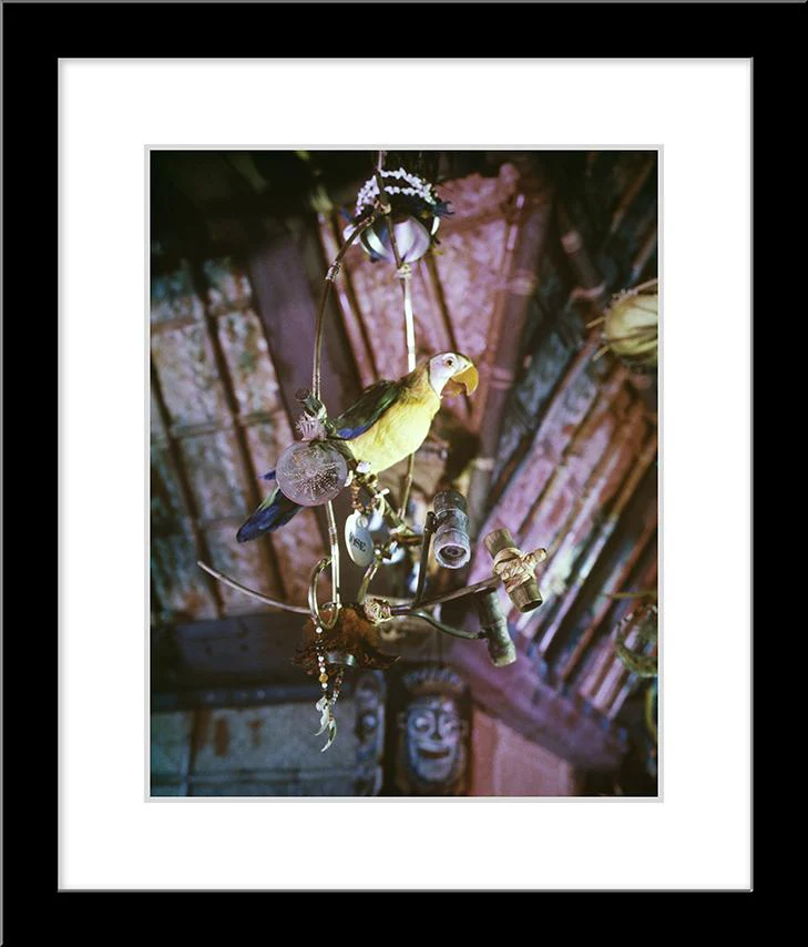 "José in Walt Disney's Enchanted Tiki Room" from Disney Photo Archives - Image 5