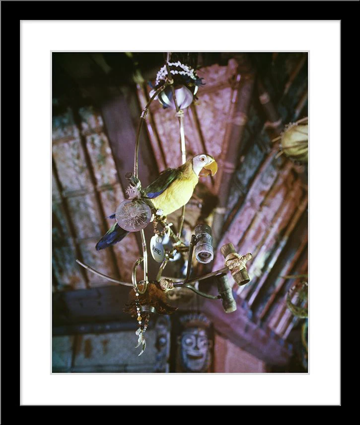 "José in Walt Disney's Enchanted Tiki Room" from Disney Photo Archives - Image 6