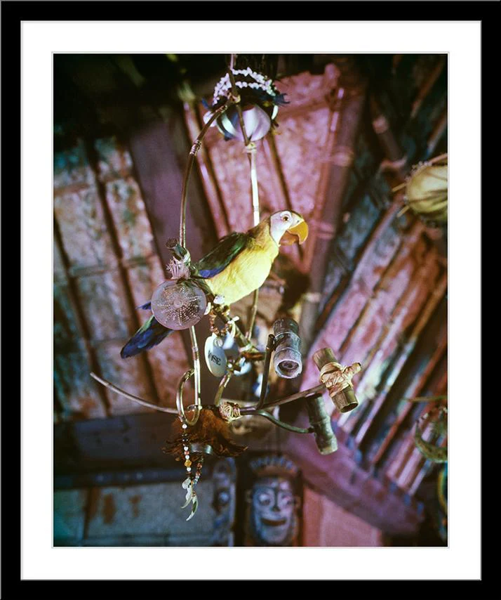 "José in Walt Disney's Enchanted Tiki Room" from Disney Photo Archives - Image 7