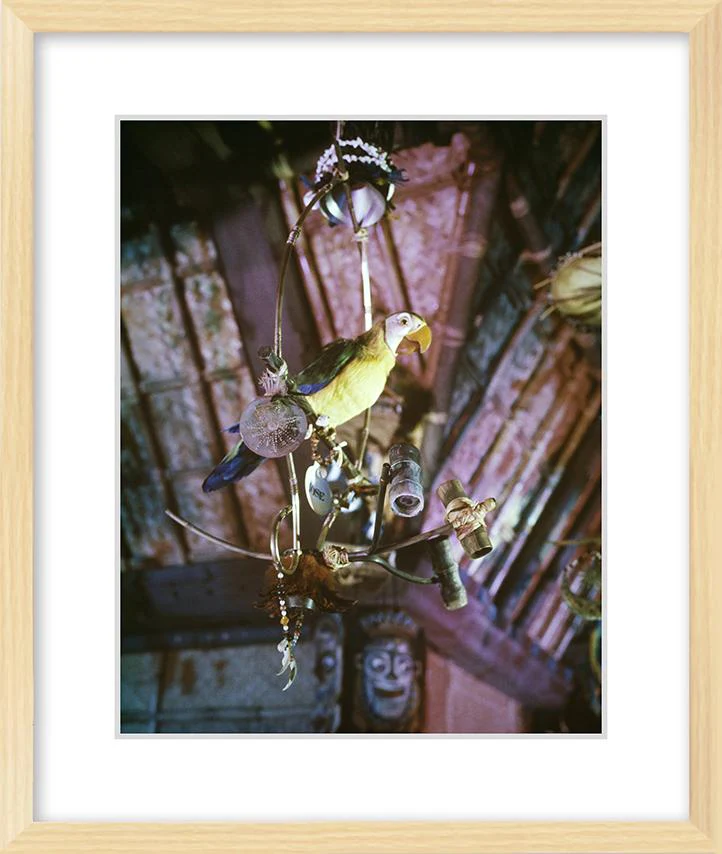 "José in Walt Disney's Enchanted Tiki Room" from Disney Photo Archives - Image 8