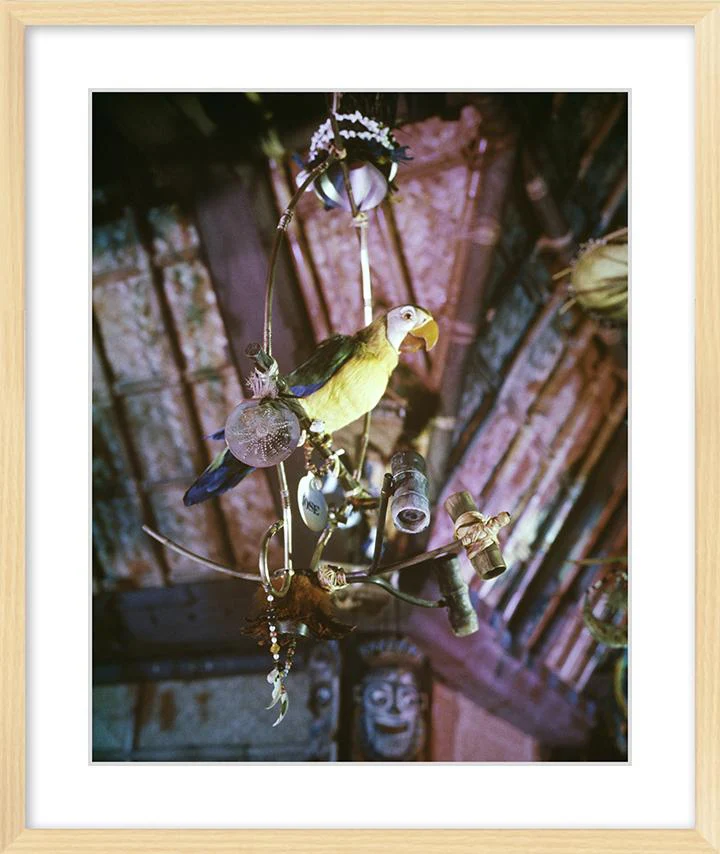 "José in Walt Disney's Enchanted Tiki Room" from Disney Photo Archives - Image 9