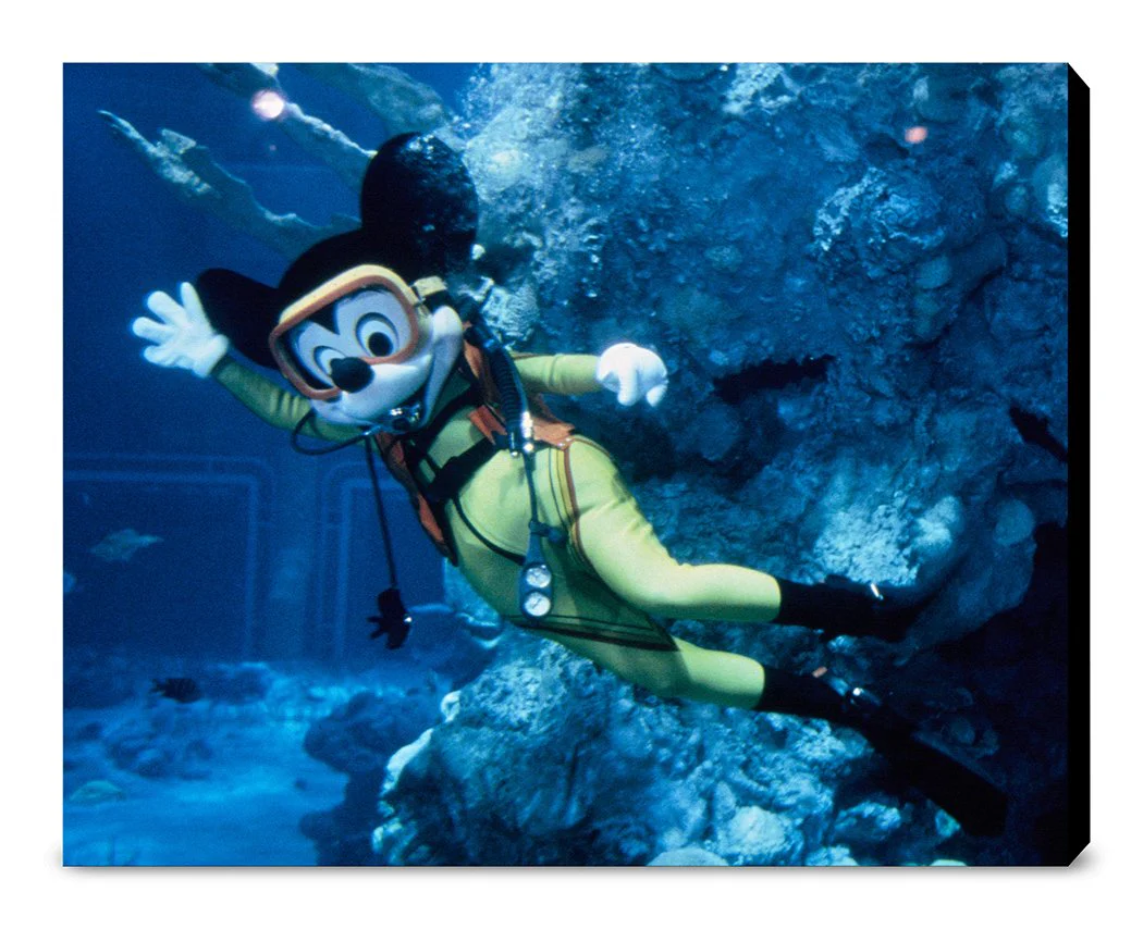 "Mickey Mouse and The Living Seas" from Disney Photo Archives - Image 14