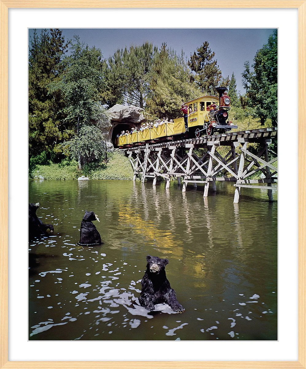 "Mine Train Through Nature's Wonderland Bears" from Disney Photo Archives - Image 10