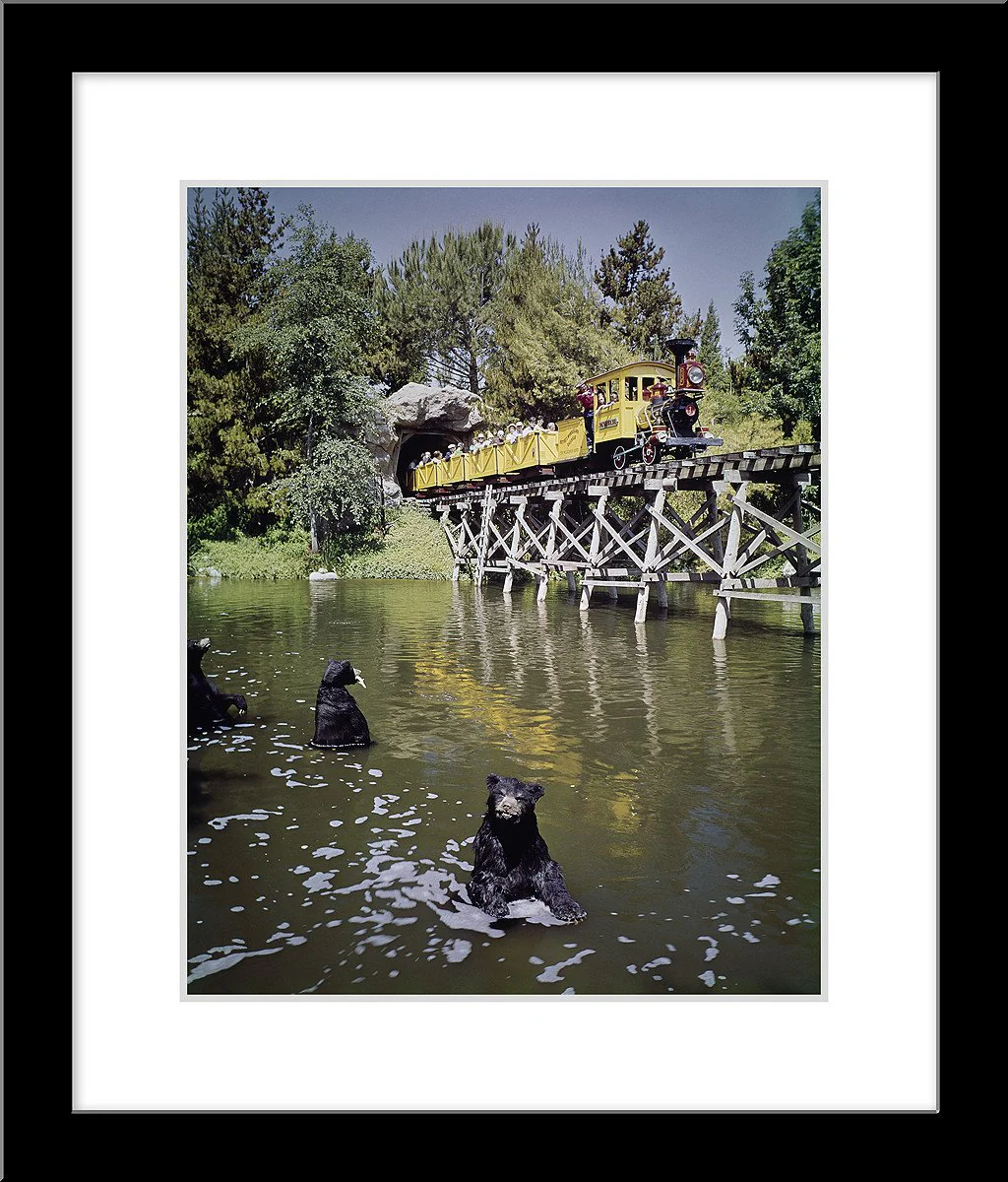 "Mine Train Through Nature's Wonderland Bears" from Disney Photo Archives - Image 5