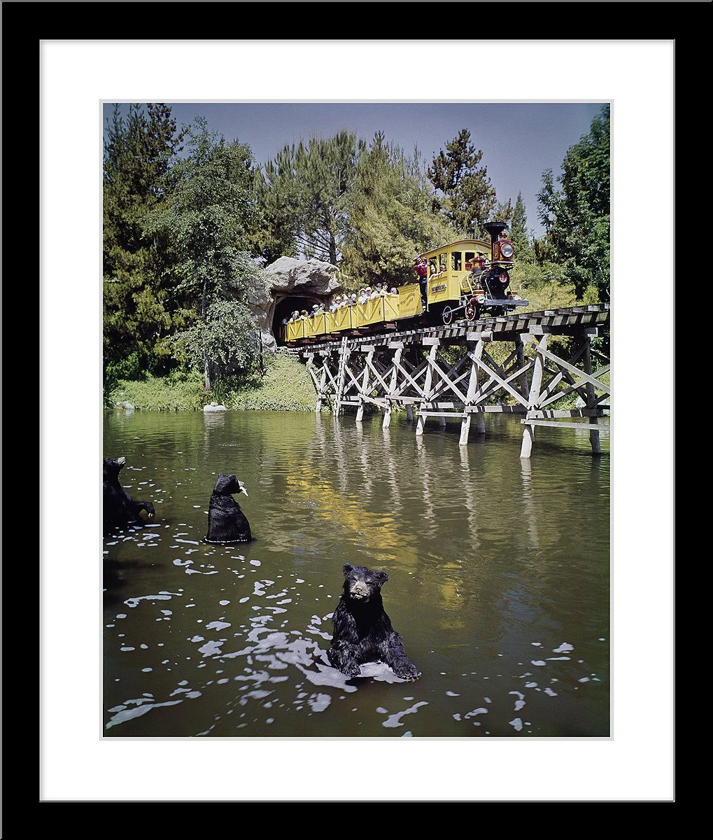 "Mine Train Through Nature's Wonderland Bears" from Disney Photo Archives - Image 6