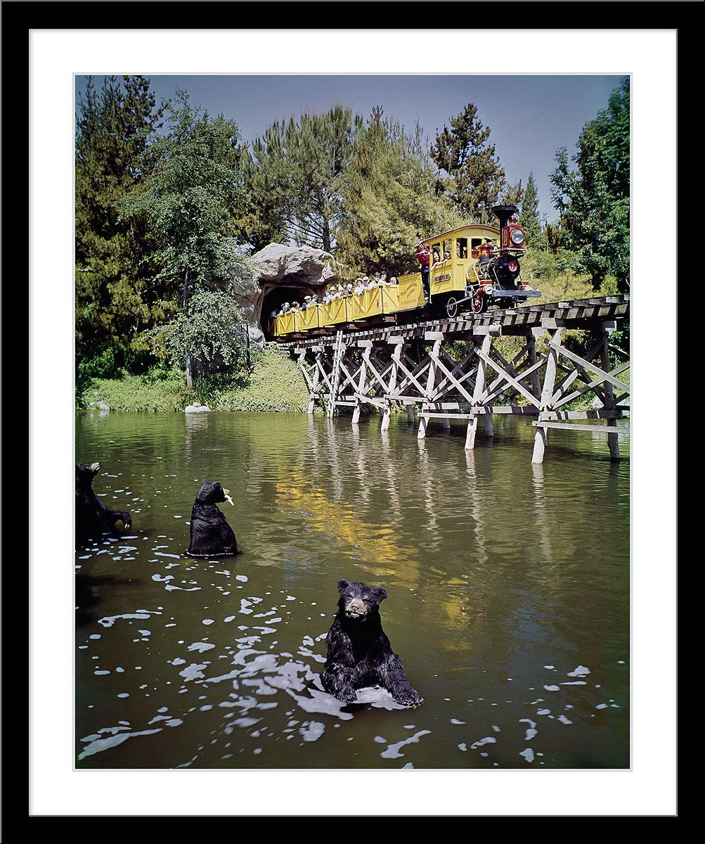 "Mine Train Through Nature's Wonderland Bears" from Disney Photo Archives - Image 7