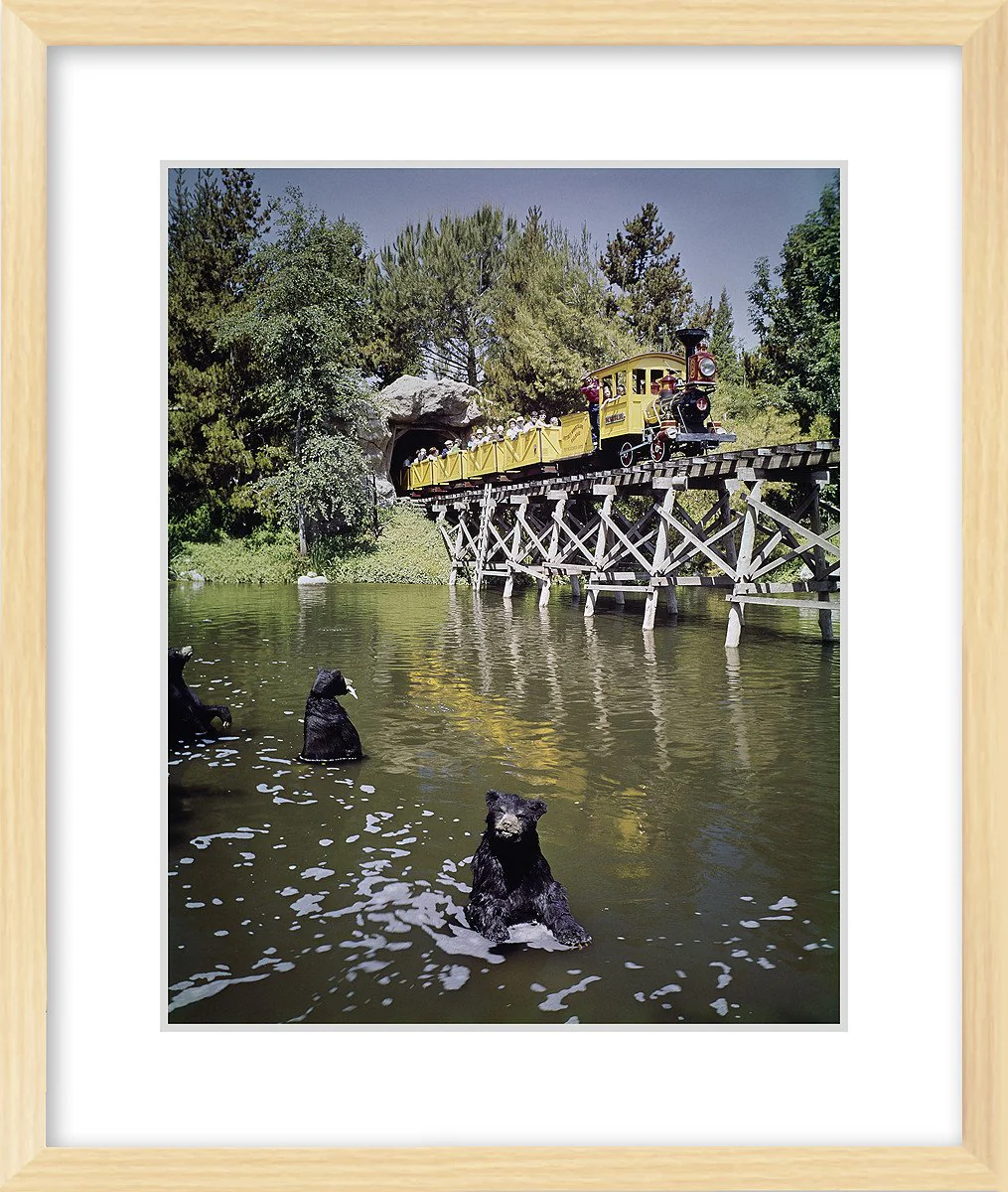 "Mine Train Through Nature's Wonderland Bears" from Disney Photo Archives - Image 8