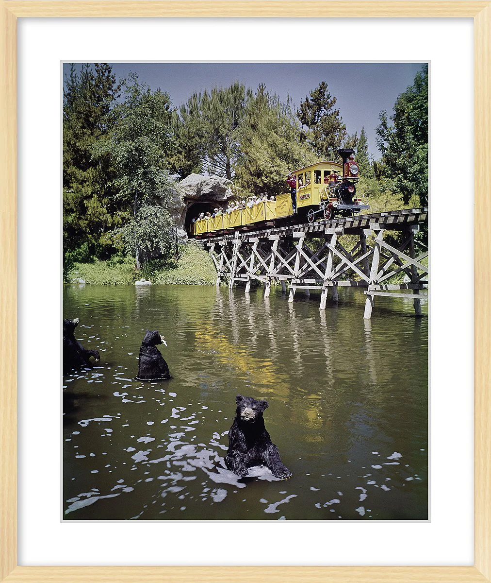"Mine Train Through Nature's Wonderland Bears" from Disney Photo Archives - Image 9