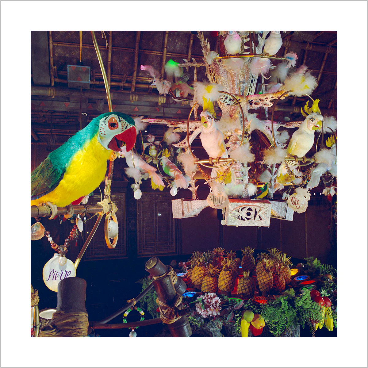 "Pierre in Walt Disney's Enchanted Tiki Room" from Disney Photo Archives