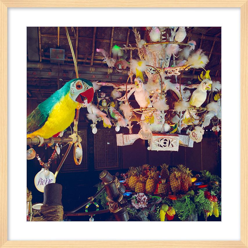 "Pierre in Walt Disney's Enchanted Tiki Room" from Disney Photo Archives - Image 10