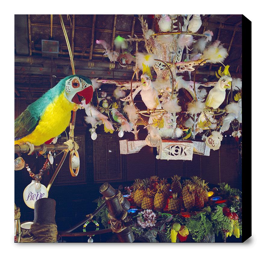 "Pierre in Walt Disney's Enchanted Tiki Room" from Disney Photo Archives - Image 11